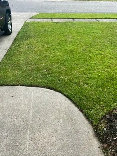 Top-rated garden landscaping experts serving Leland, NC - Ziebol’s Lawn Care and Landscaping