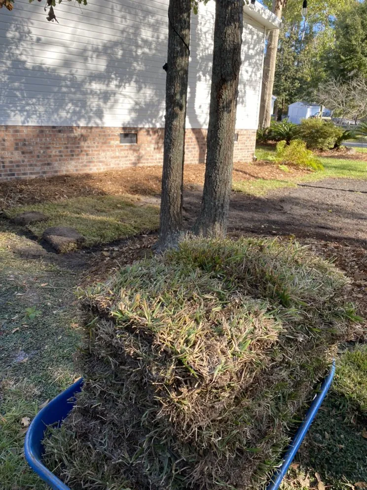 Custom residential landscaping for homes across Leland, NC - Ziebol’s Lawn Care and Landscaping
