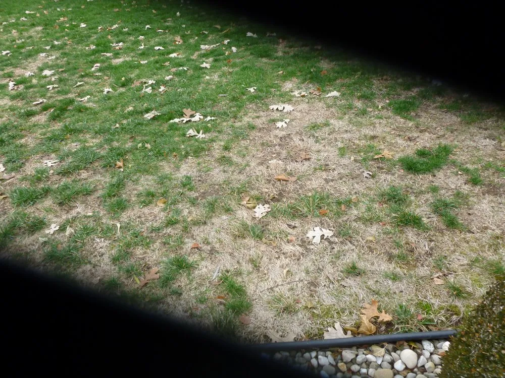 Local lawn care service experts serving Centerville, OH - Ziehler Lawn and Tree Care