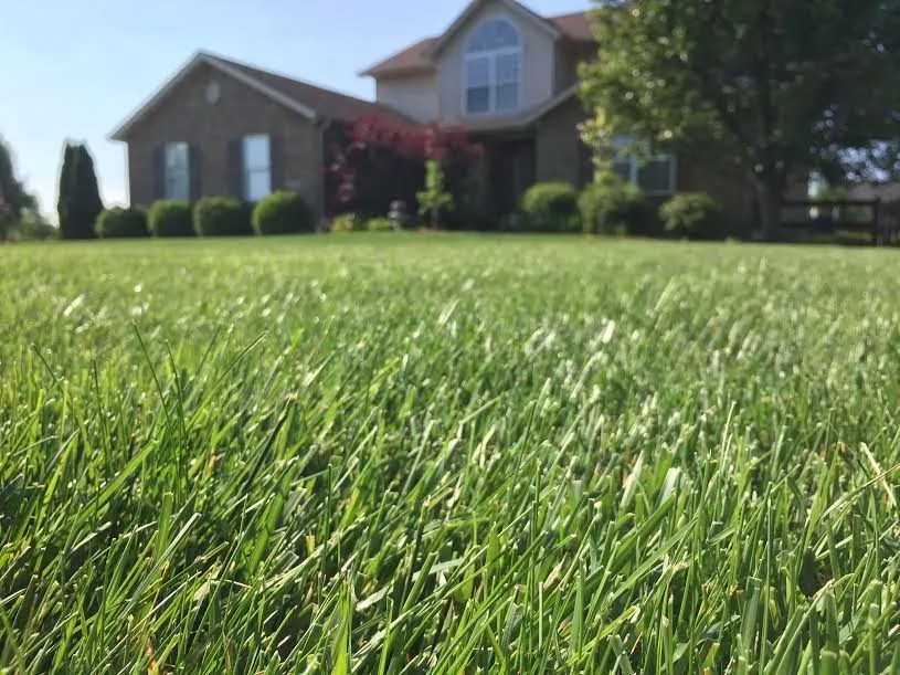 Expert outdoor landscaping for residential properties in Centerville, OH by Ziehler Lawn and Tree Care