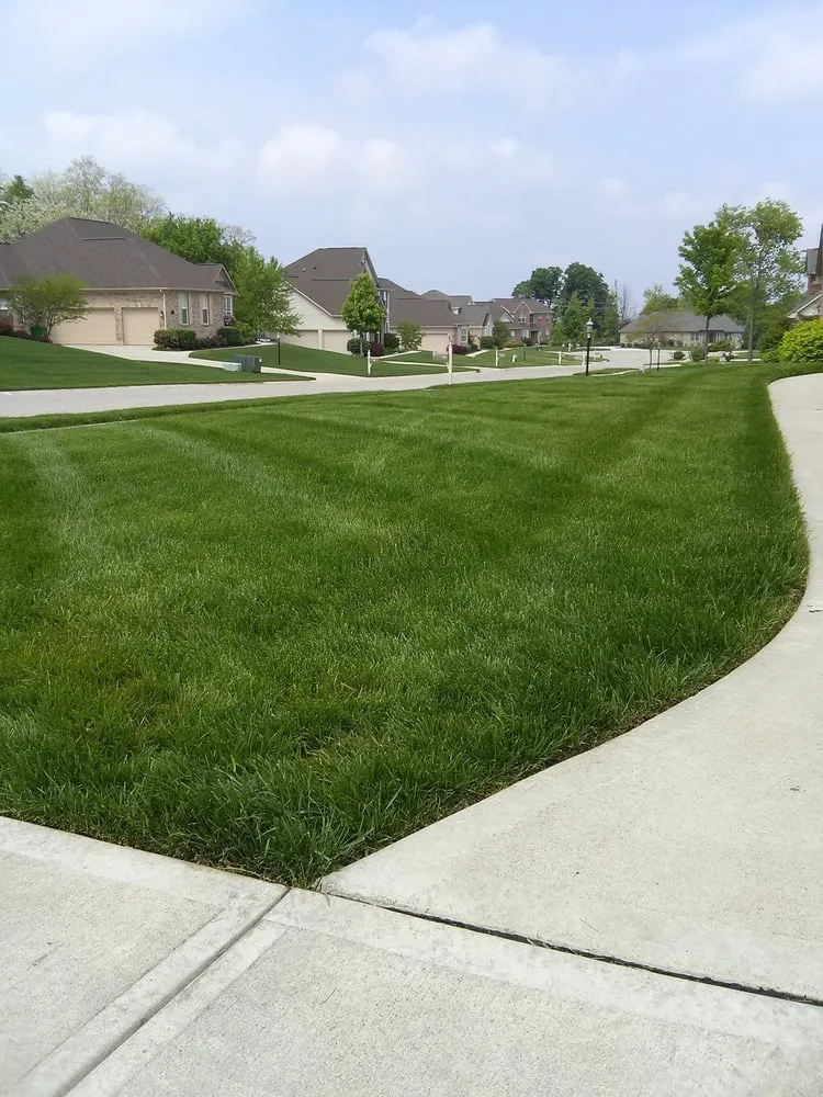 Affordable outdoor landscaping in Centerville, OH - Ziehler Lawn and Tree Care