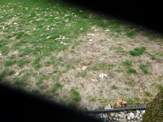 Ziehler Lawn and Tree Care