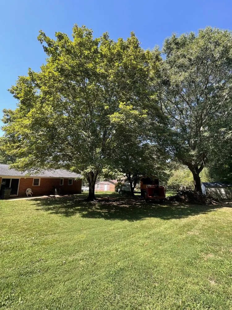 Custom lawn mowing service for residential properties in Salisbury, NC by Ziemba’s Landscaping & Tree Service