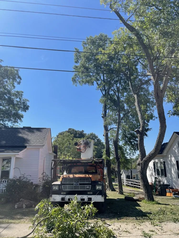 Trusted lawn care service in Salisbury, NC by Ziemba’s Landscaping & Tree Service