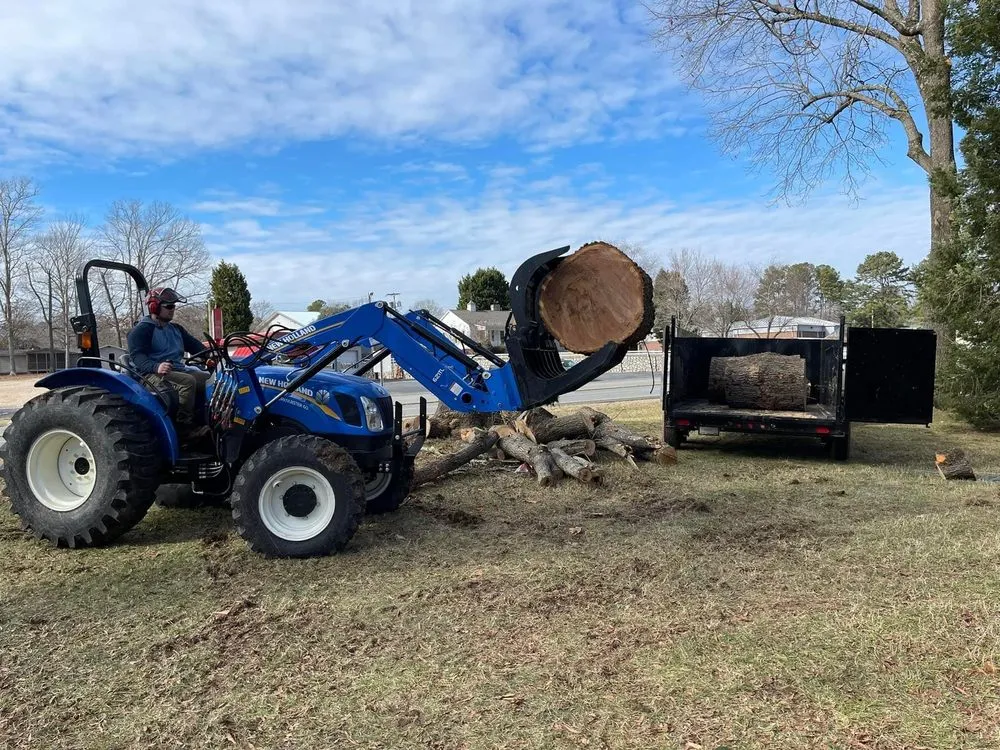 Expert landscaping services in Salisbury, NC by Ziemba’s Landscaping & Tree Service
