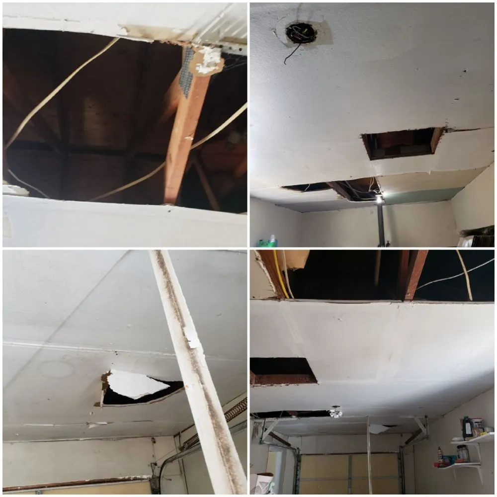 Local yard cleanup service for homes in New Orleans, LA by Ziggy Lawn Service