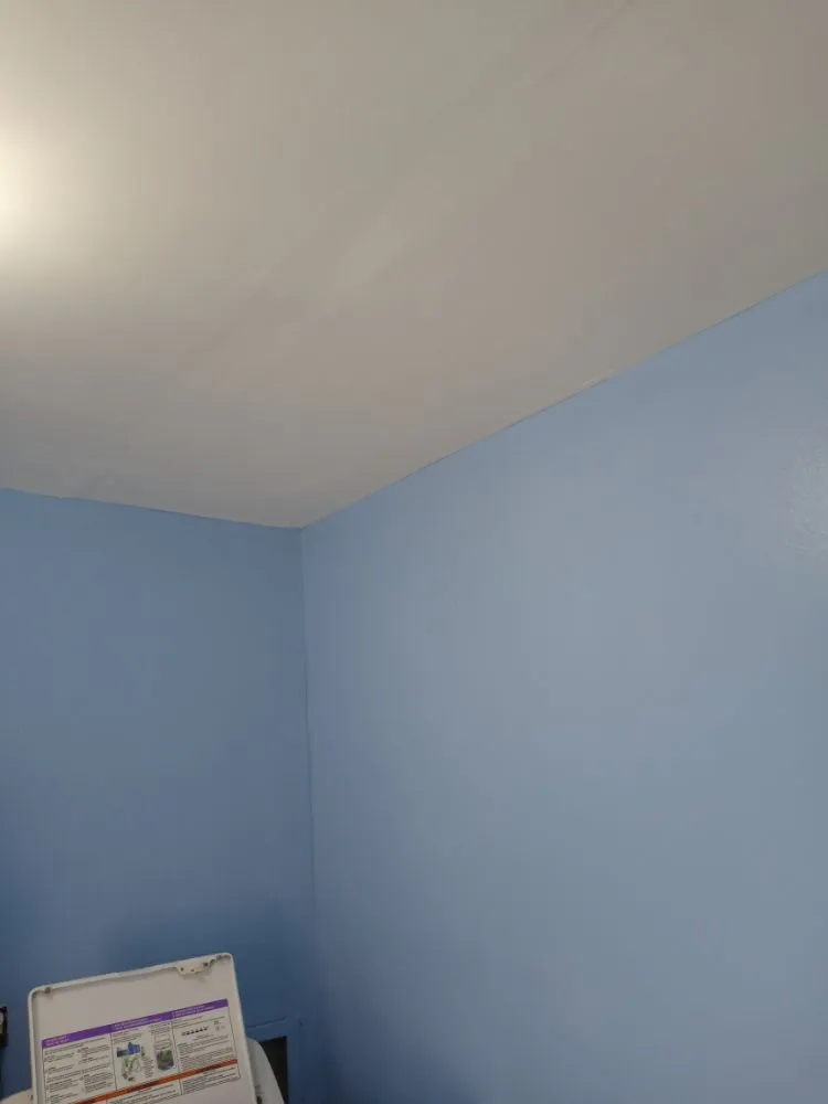 Professional landscaping services in New Orleans, LA by Ziggy Lawn Service