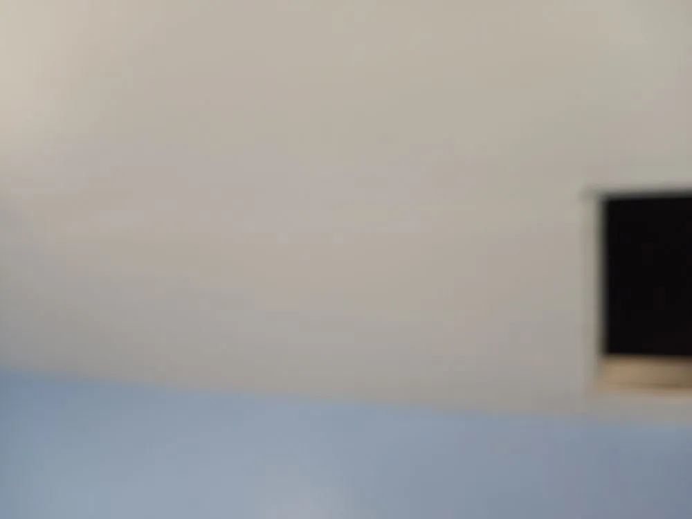 Professional yard cleanup service experts serving New Orleans, LA - Ziggy Lawn Service