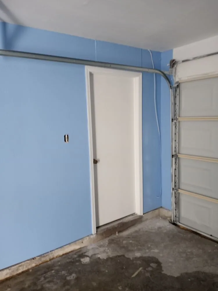 Expert lawn care service in New Orleans, LA - Ziggy Lawn Service