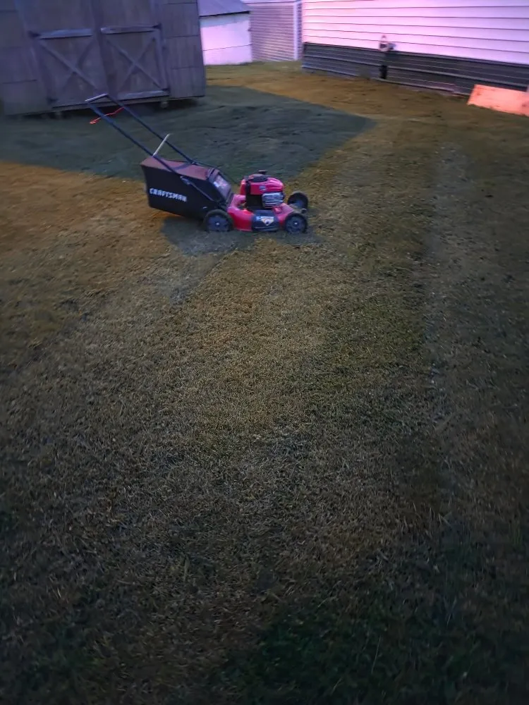 Affordable outdoor landscaping experts serving Winchester, KY - Ziggys Lawn Care