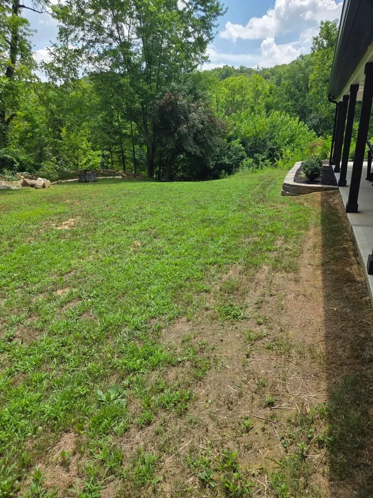 Trusted residential landscaping for beautiful yards in Winchester, KY by Ziggys Lawn Care