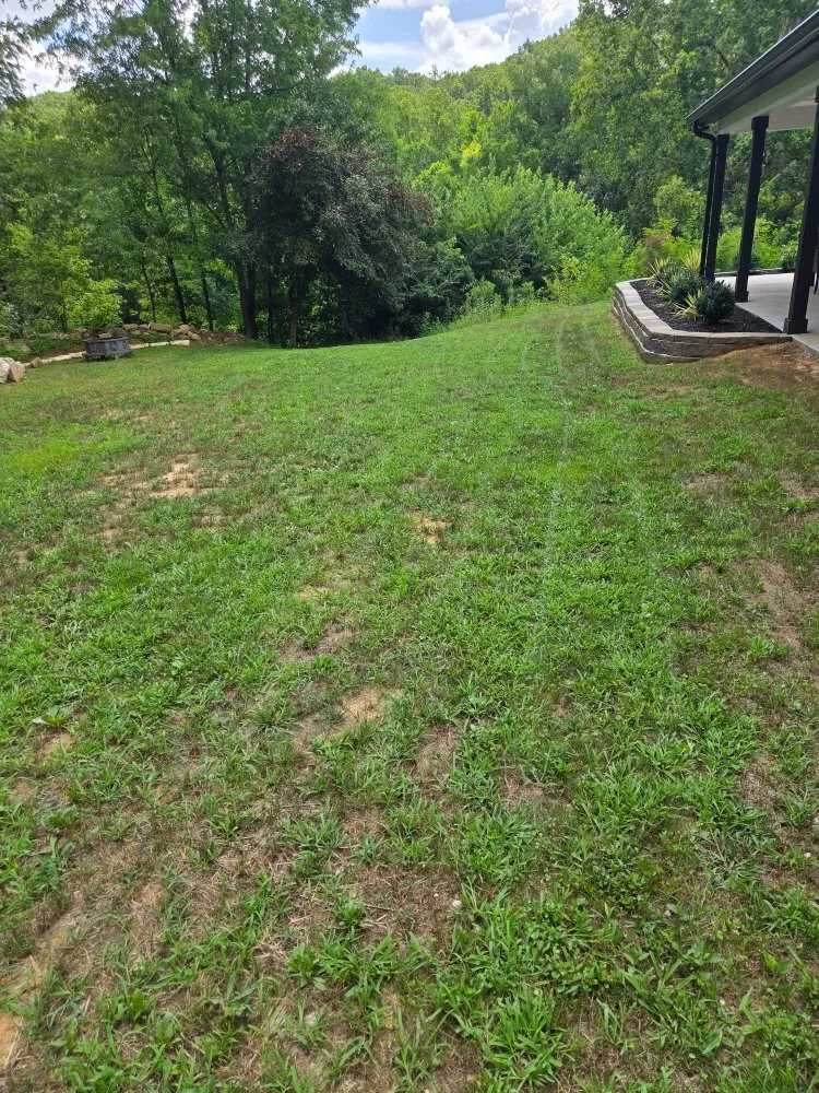 Top-rated landscaping services in Winchester, KY - Ziggys Lawn Care