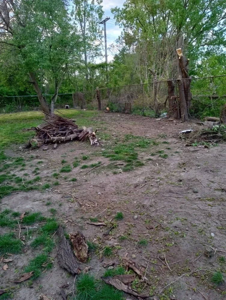 Affordable garden landscaping experts serving Detroit, MI - Zigzag Cuts Landscaping