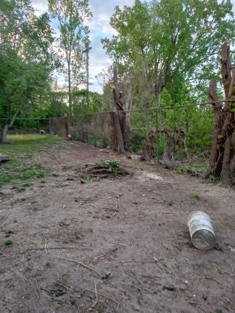 Trusted garden landscaping with custom design in Detroit, MI by Zigzag Cuts Landscaping