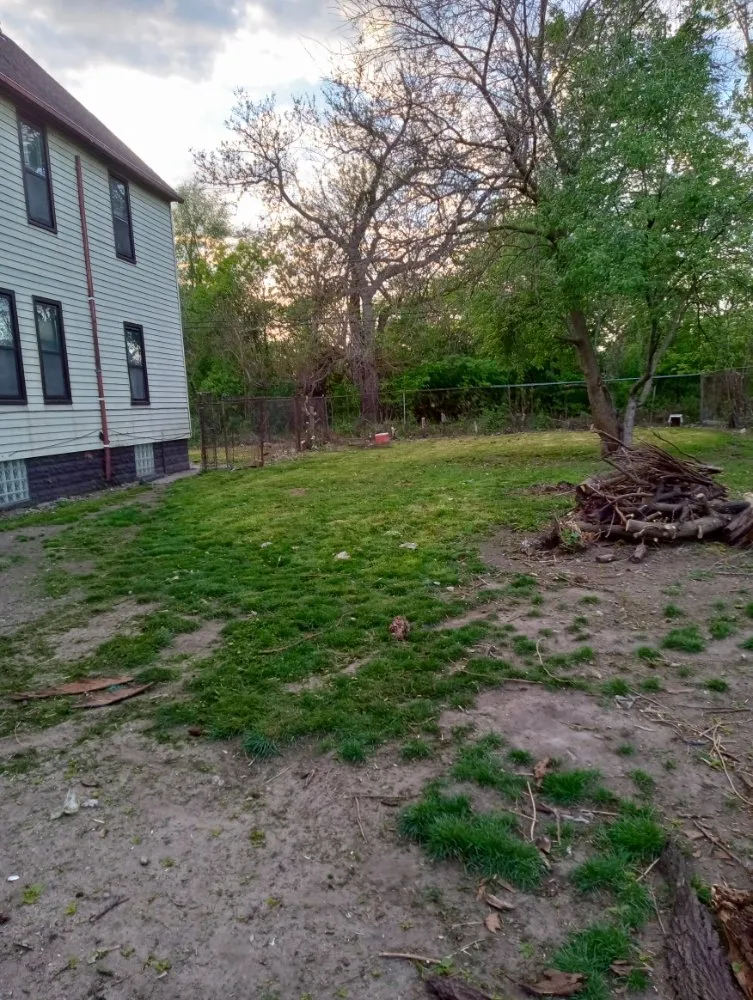 Professional residential landscaping for year-round maintenance across Detroit, MI - Zigzag Cuts Landscaping