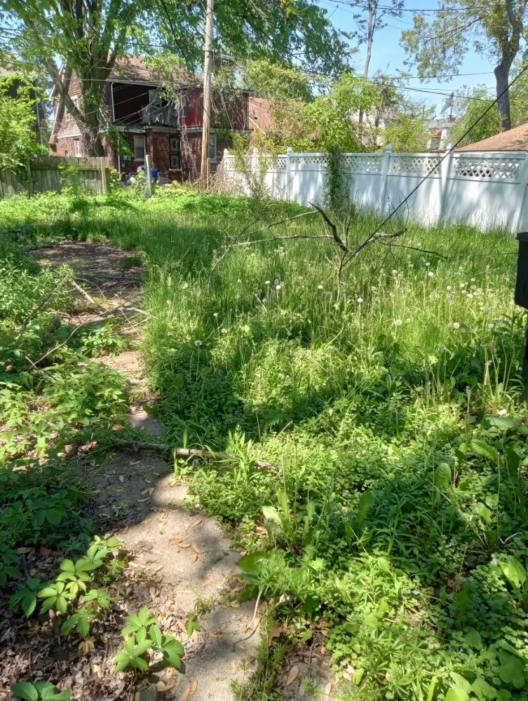 Local landscaping services in Detroit, MI by Zigzag Cuts Landscaping