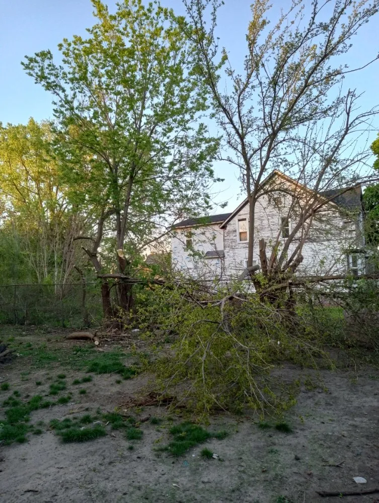 Local garden landscaping for beautiful yards in Detroit, MI by Zigzag Cuts Landscaping