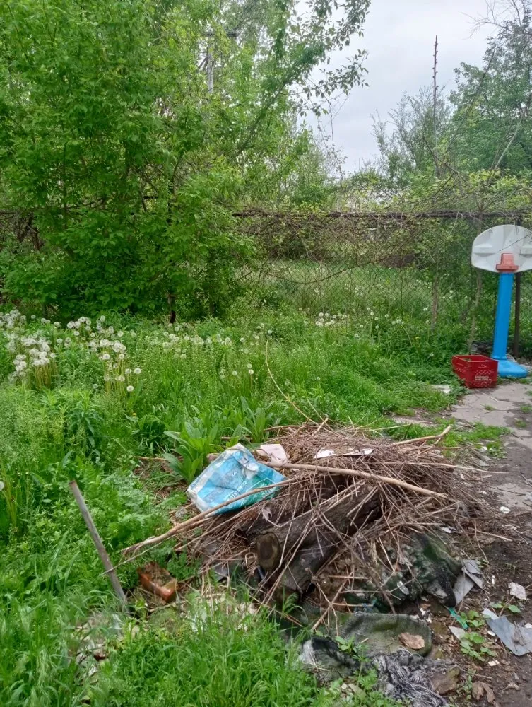 Affordable residential landscaping in Detroit, MI by Zigzag Cuts Landscaping