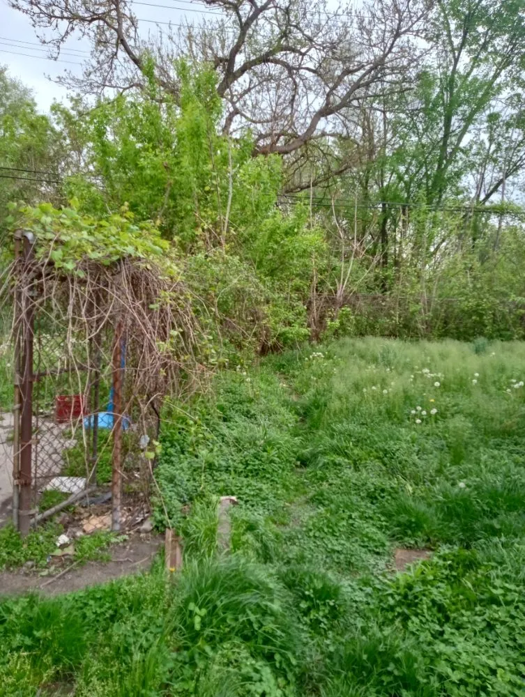 Affordable yard maintenance for beautiful yards in Detroit, MI by Zigzag Cuts Landscaping