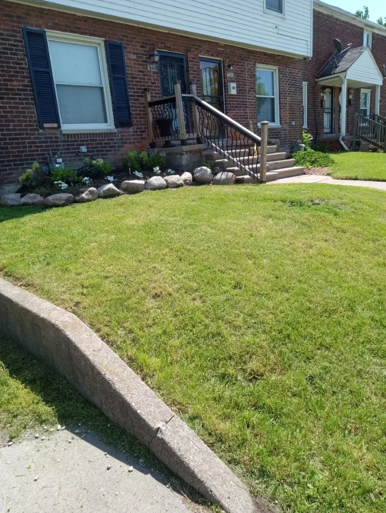 Local yard cleanup service in Detroit, MI by Zigzag Cuts Landscaping
