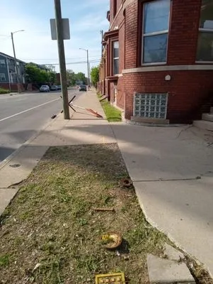 Zigzag Cuts Landscaping Logo