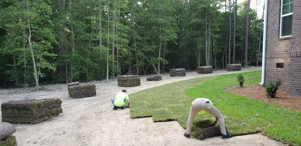 Reliable yard maintenance in Lexington, SC - ZimCo Landscaping