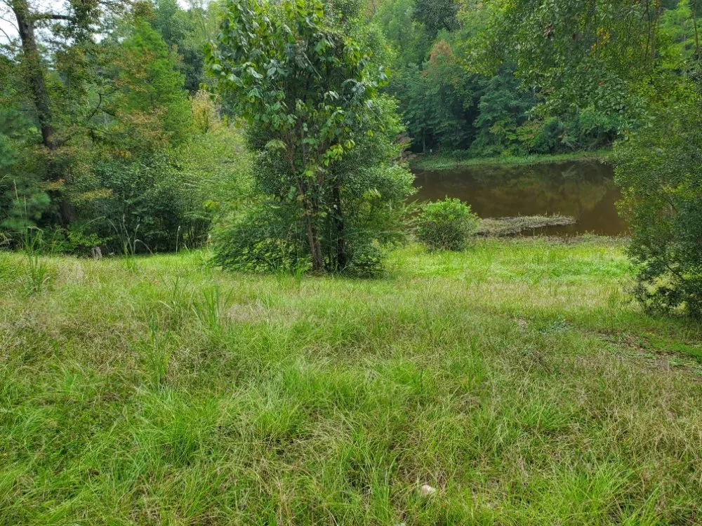 Trusted yard cleanup service experts serving Lexington, SC - ZimCo Landscaping