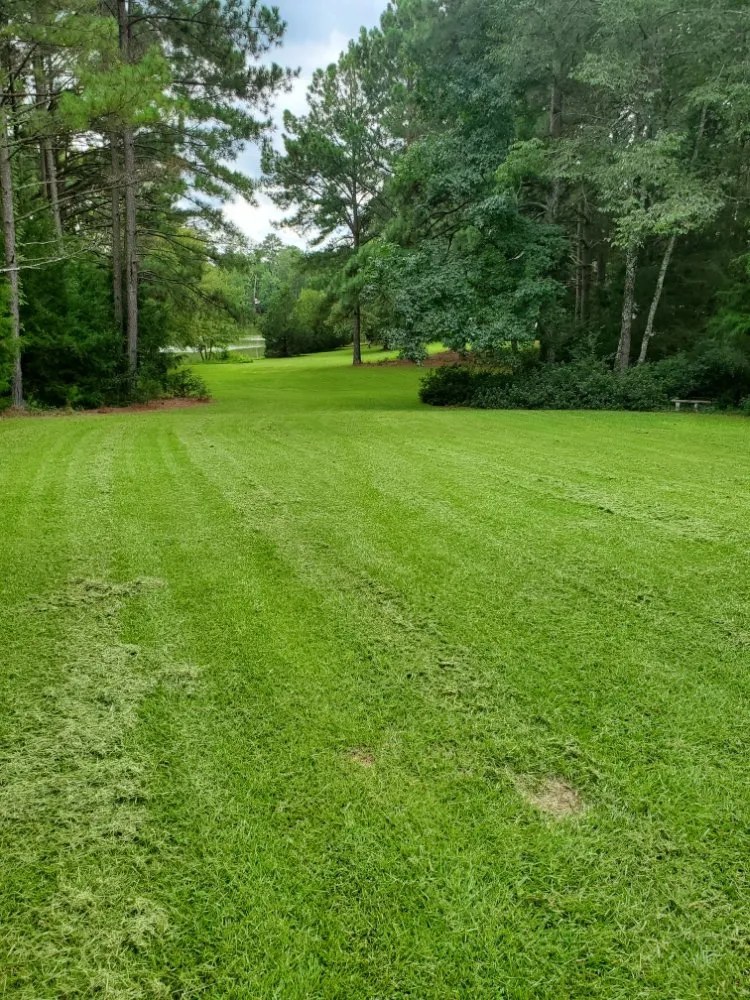 Trusted residential landscaping with custom design in Lexington, SC by ZimCo Landscaping