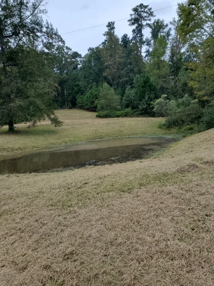 Local garden landscaping in Lexington, SC - ZimCo Landscaping