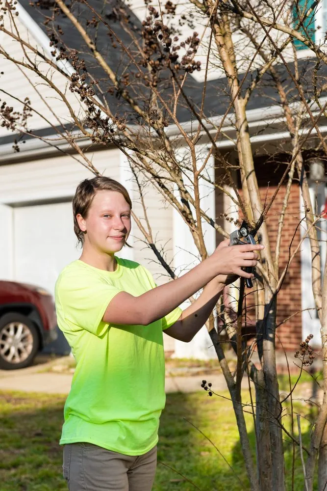 Expert landscape design for year-round maintenance in Lexington, SC by ZimCo Landscaping