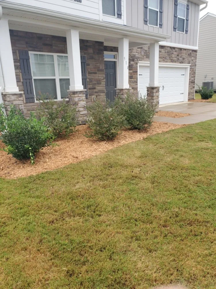 Top-rated yard cleanup service experts serving Lexington, SC - ZimCo Landscaping