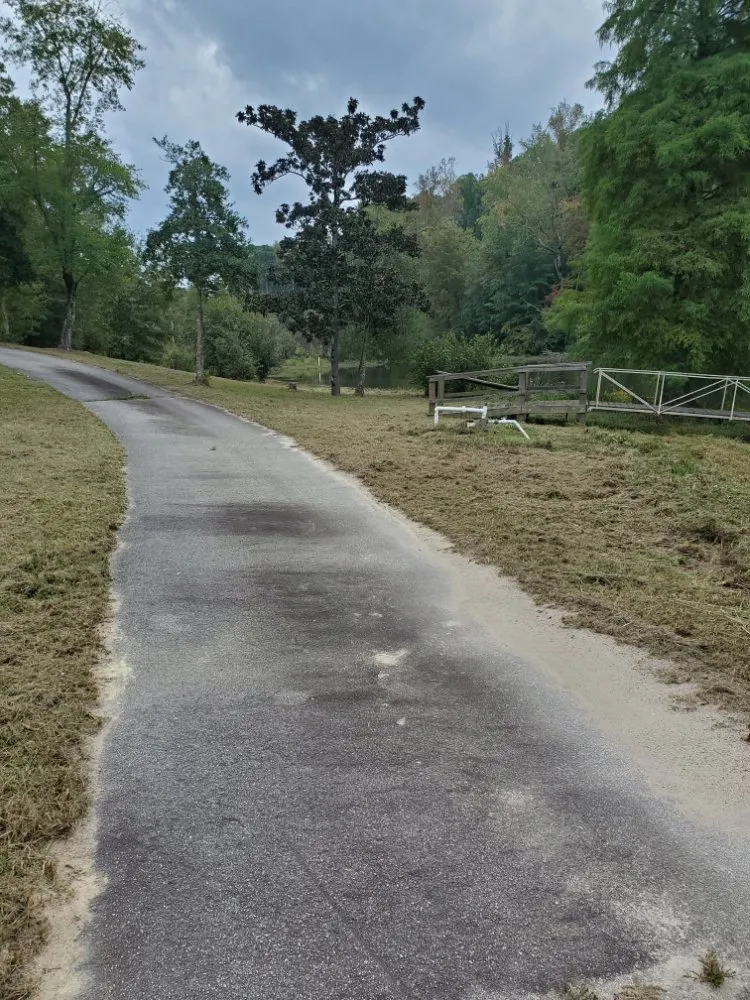 Custom yard maintenance experts serving Lexington, SC - ZimCo Landscaping