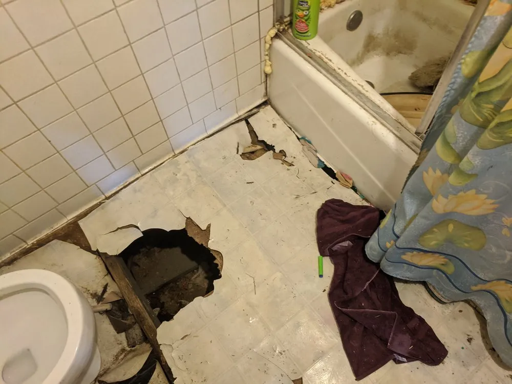 Trusted landscape installation with custom design in Jacksonville, AR by Zimmerman Professional