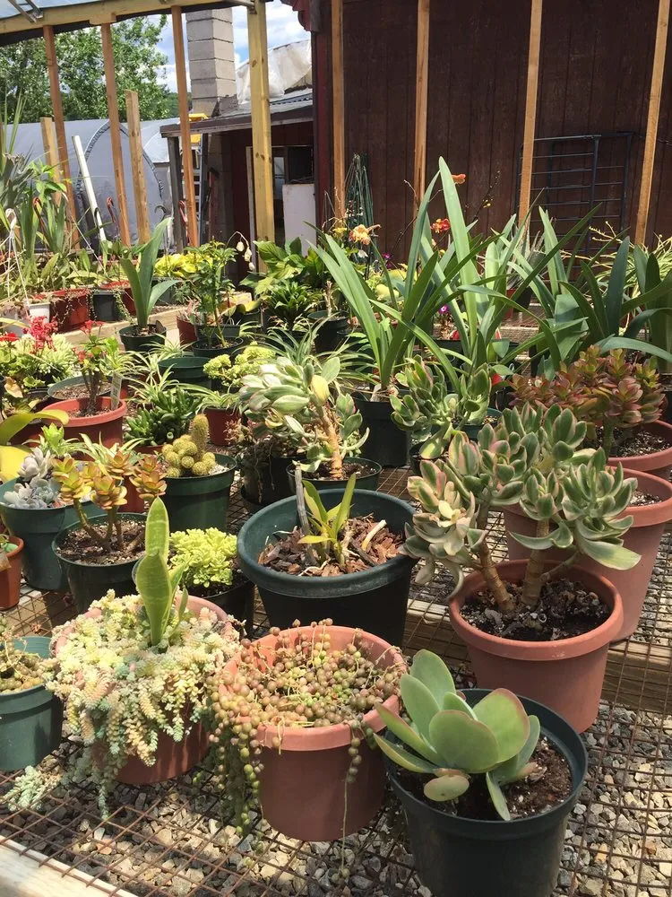 Custom yard cleanup service experts serving Valhalla, NY - Zimmerman's Memorials