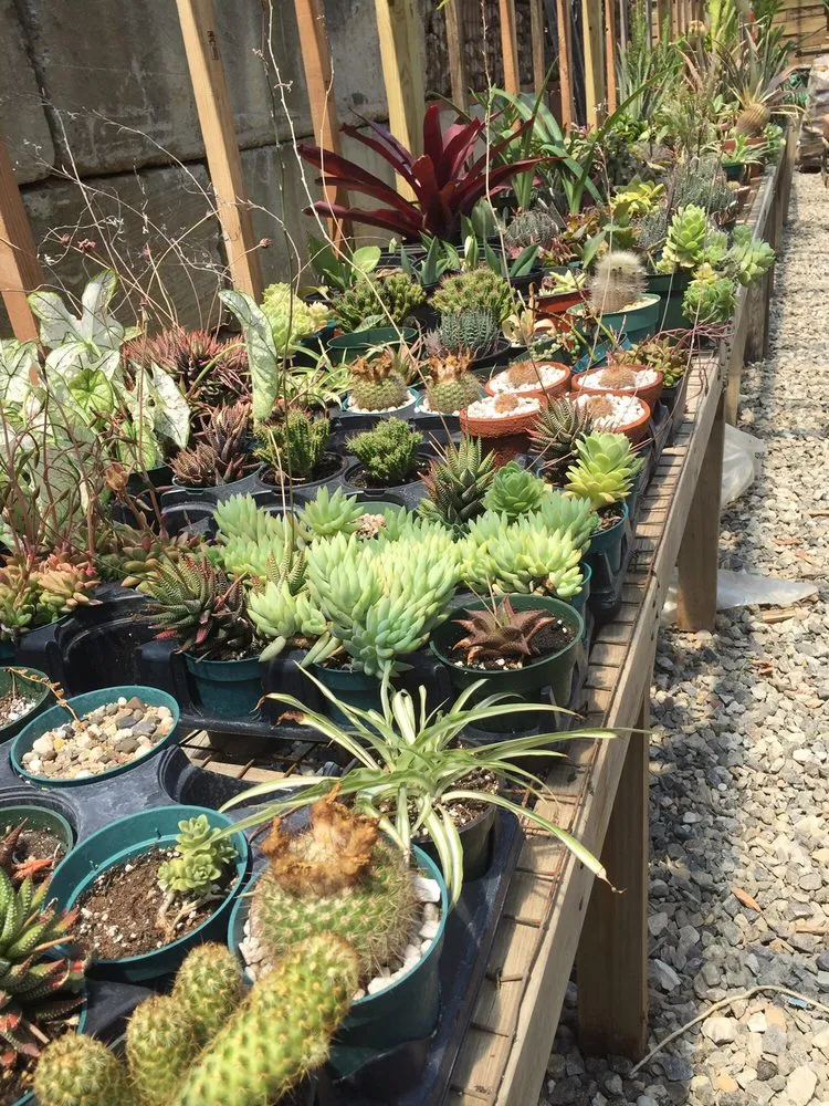 Trusted yard cleanup service in Valhalla, NY by Zimmerman's Memorials