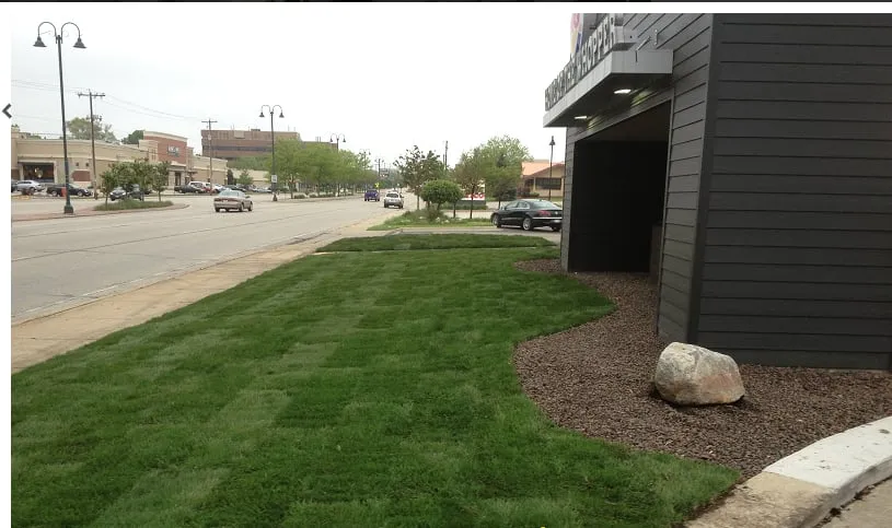 Top-rated lawn mowing service near you in Milwaukee, WI by Zimmers Landscaping