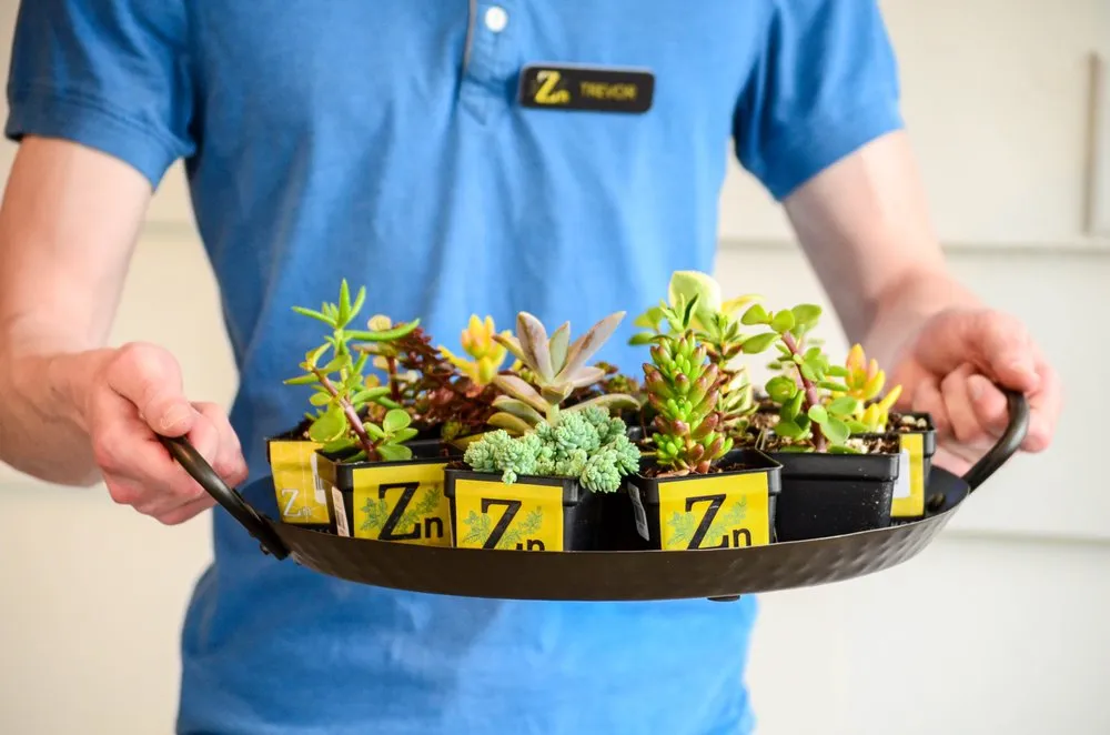 Trusted yard maintenance for year-round maintenance in Kennett Square, PA by Zinc Garden