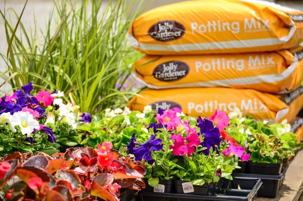 Local yard cleanup service in Kennett Square, PA - Zinc Garden