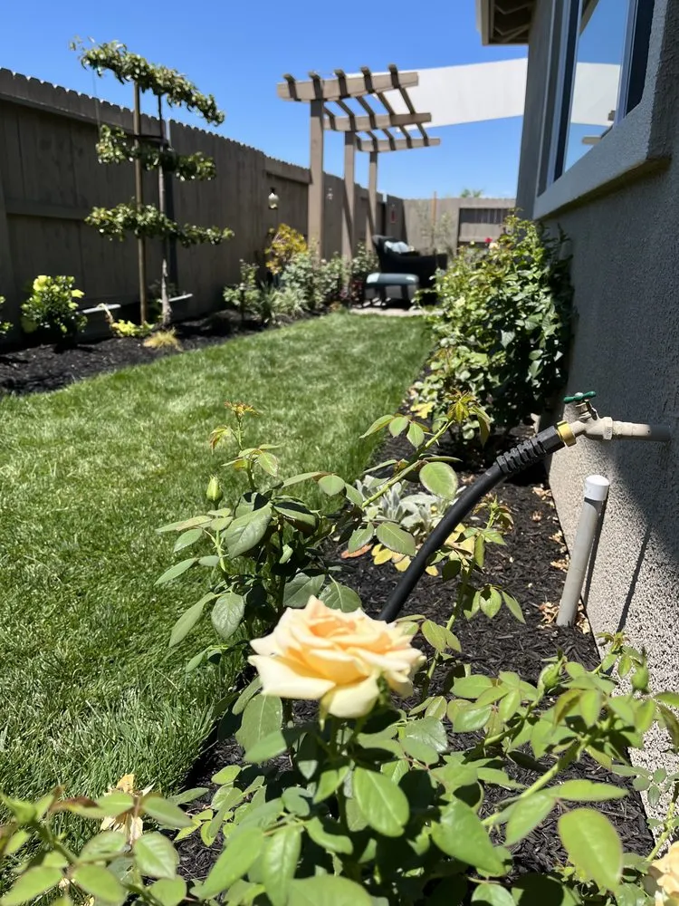 Trusted yard cleanup service for outdoor upgrades across Lodi, CA - Zinfandel Landscaping & Maintenance