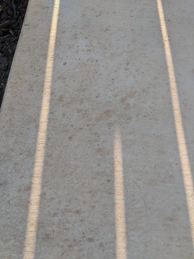 Custom yard maintenance in Lodi, CA - Zinfandel Landscaping & Maintenance