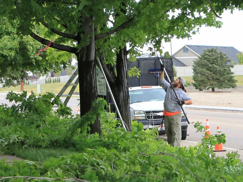 Local landscaping services experts serving Middleton, ID - Zing Services