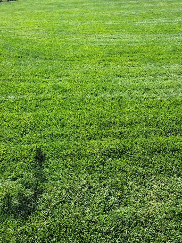 Trusted lawn mowing service in Middleton, ID by Zing Services