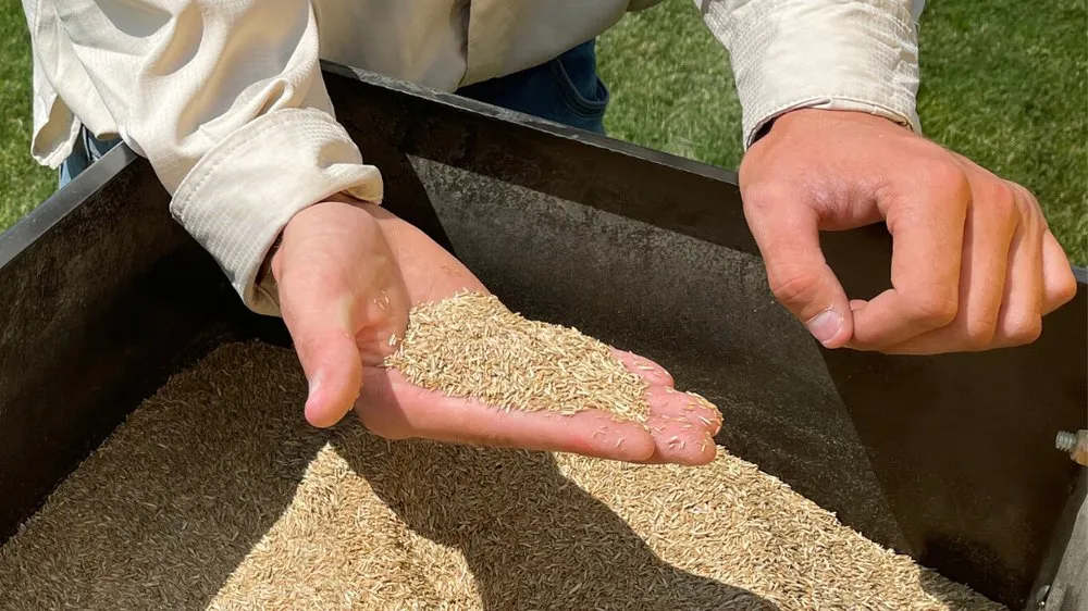 Top-rated outdoor landscaping for beautiful yards across Middleton, ID - Zing Services