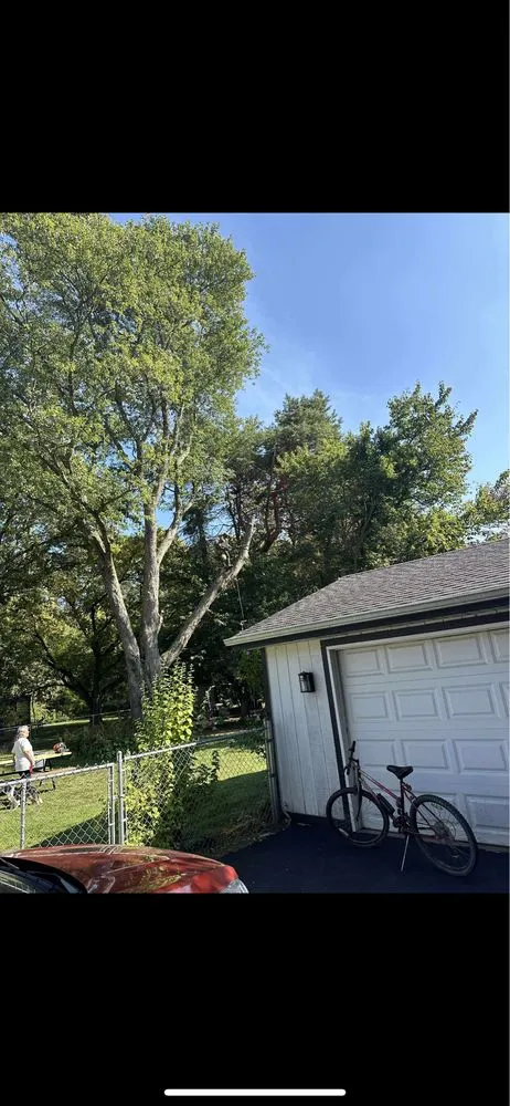 Affordable landscape installation in Smiths Creek, MI - Zinnias Lawn And Tree