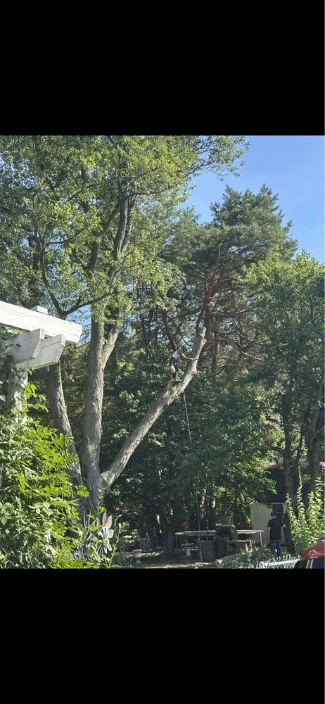 Custom residential landscaping experts serving Smiths Creek, MI - Zinnias Lawn And Tree