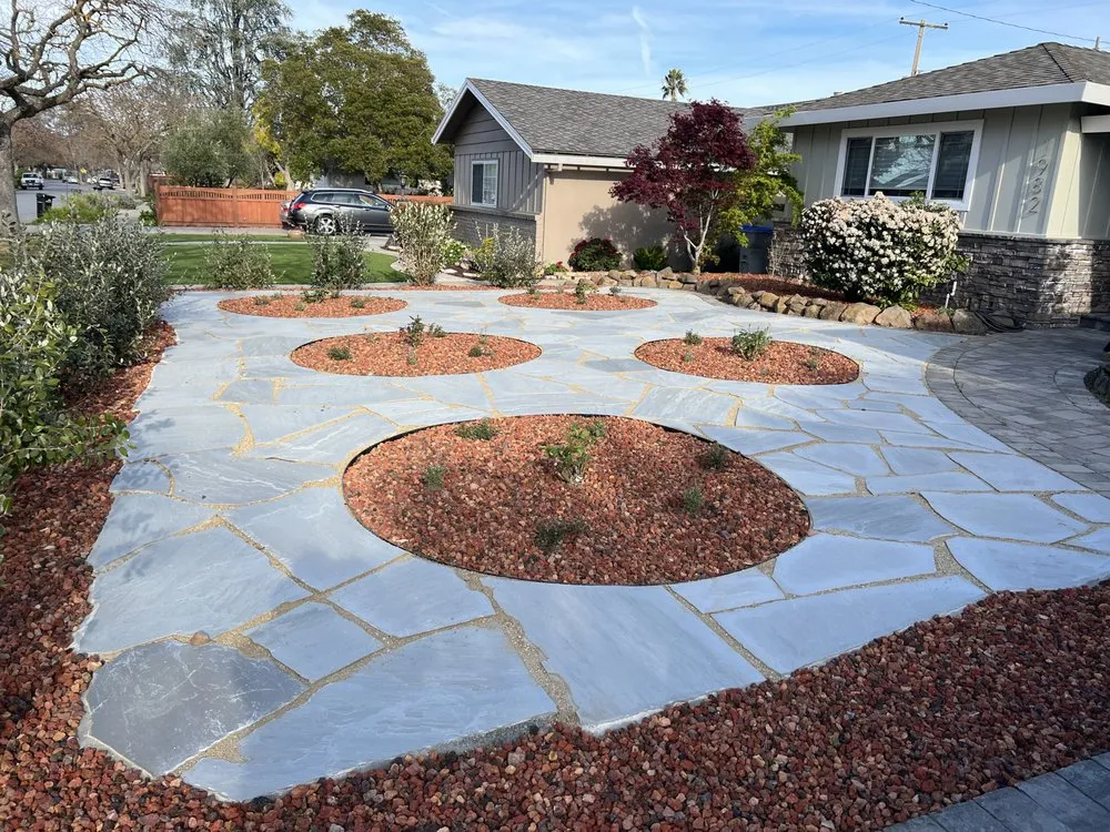 Affordable yard cleanup service for year-round maintenance in San Jose, CA by Zin+Ola Landscape Design and Installation