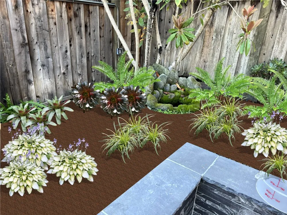 Custom yard maintenance experts serving San Jose, CA - Zin+Ola Landscape Design and Installation