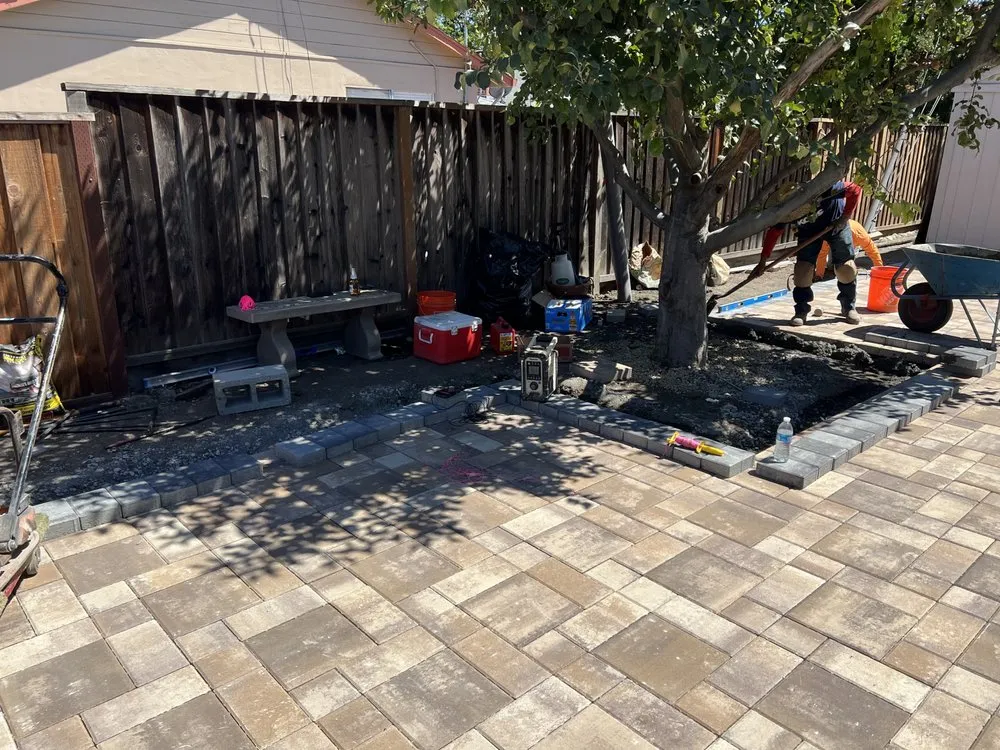 Affordable lawn care service experts serving San Jose, CA - Zin+Ola Landscape Design and Installation