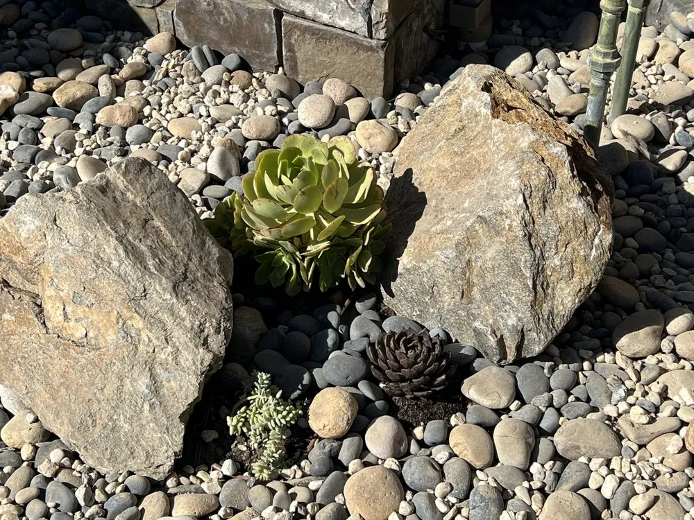 Custom landscaping services with custom design in San Jose, CA by Zin+Ola Landscape Design and Installation