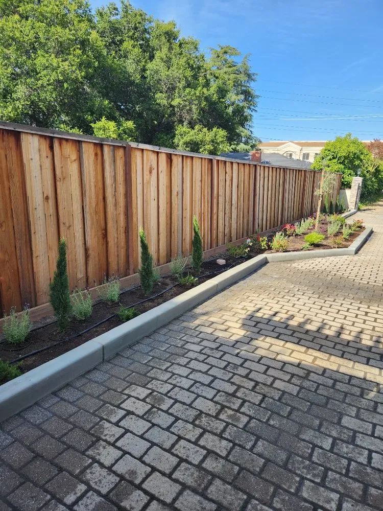 Affordable landscaping services in San Jose, CA by Zin+Ola Landscape Design and Installation